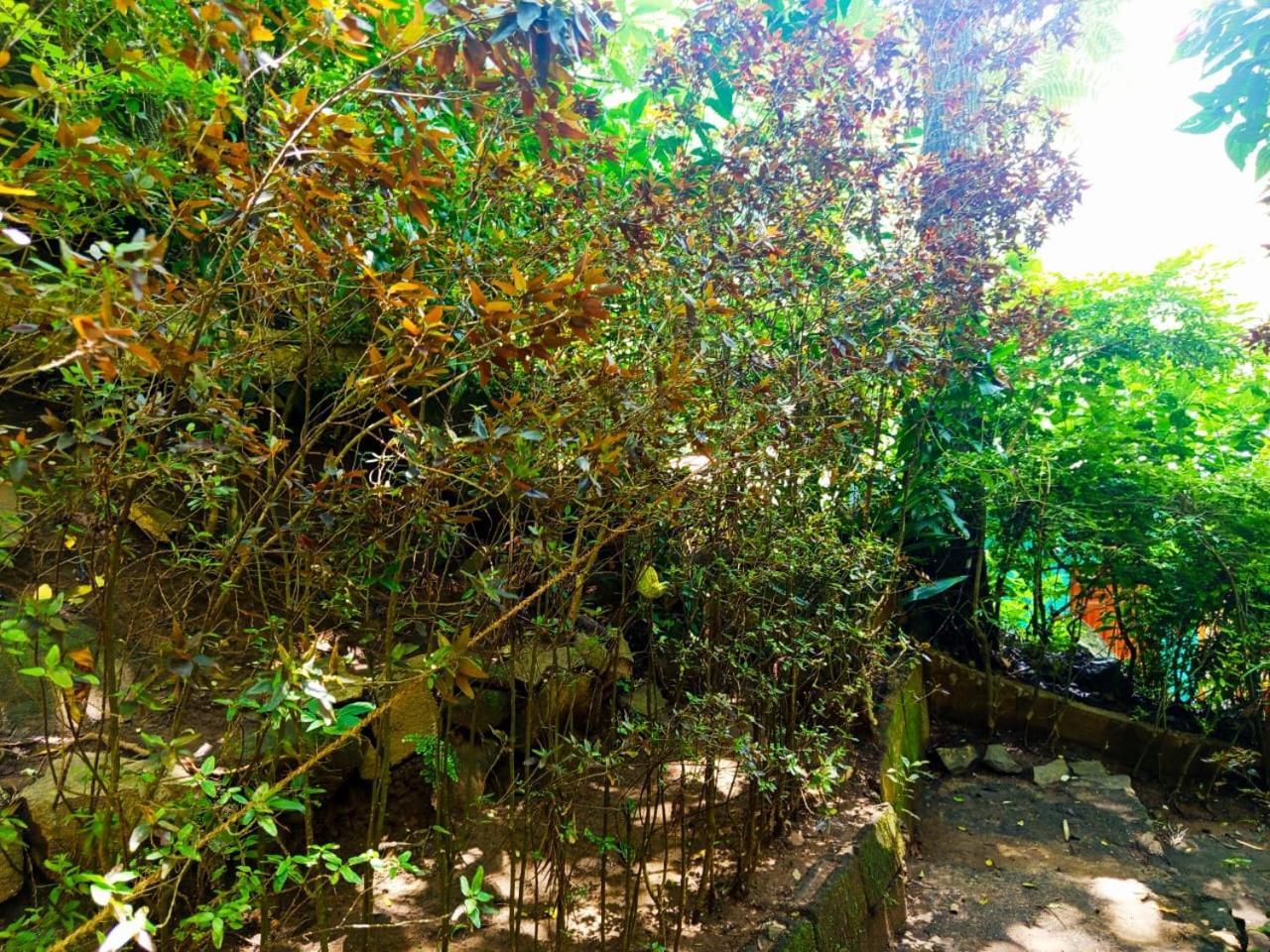Jungle Face Inn Элла Экстерьер фото