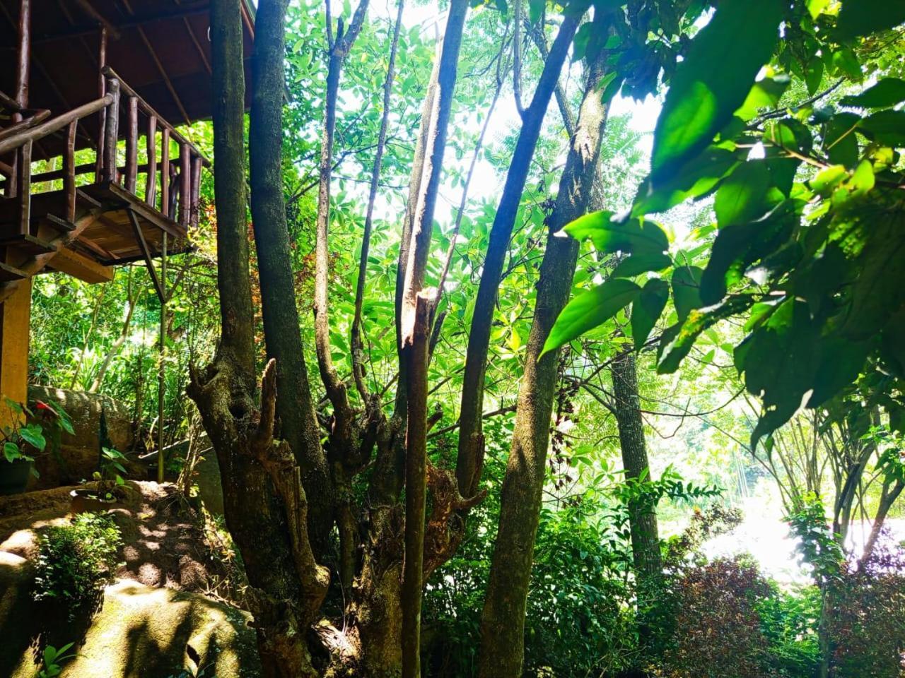 Jungle Face Inn Элла Экстерьер фото