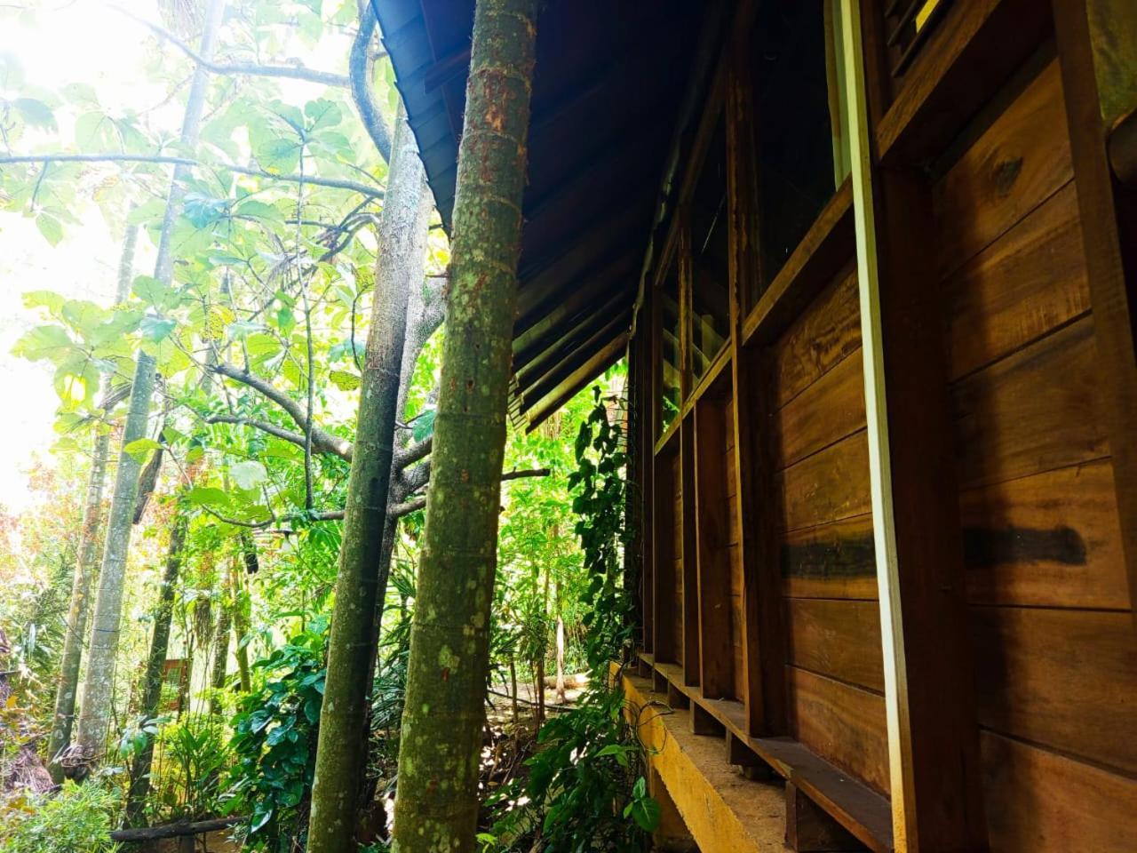 Jungle Face Inn Элла Экстерьер фото