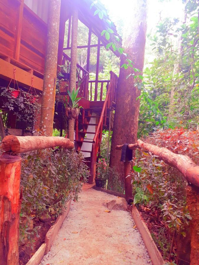Jungle Face Inn Элла Экстерьер фото